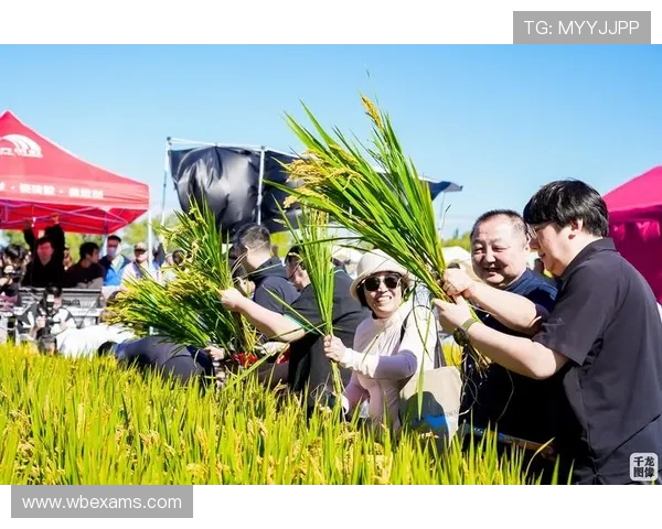 m6体育平台如何通过技术创新增强体育迷的互动参与感