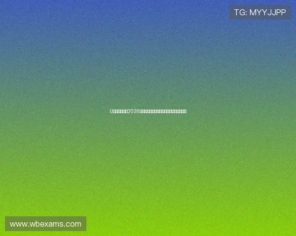 U体育网娱乐：2026世界杯赛前热身赛总结与球队状态全面评估